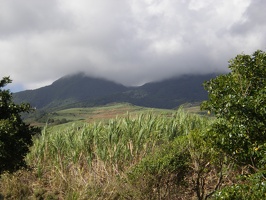 St Kitts Train Ride10